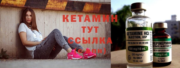 индика Верхний Тагил
