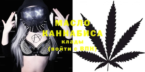 индика Верхний Тагил