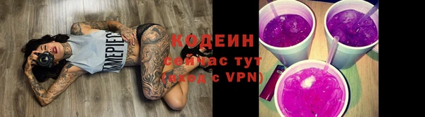 индика Верхний Тагил