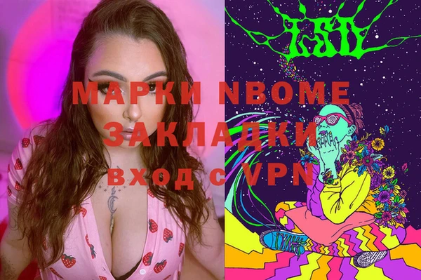 индика Верхний Тагил