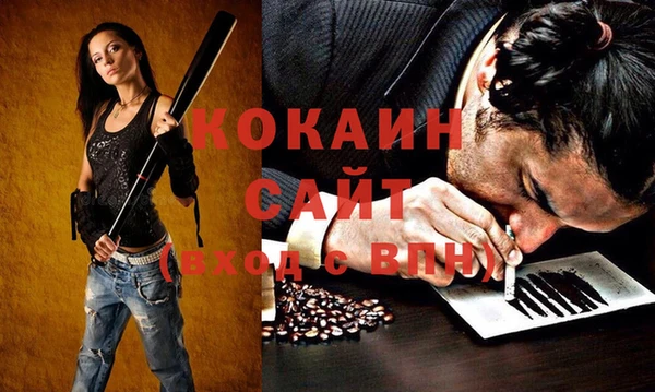 индика Верхний Тагил