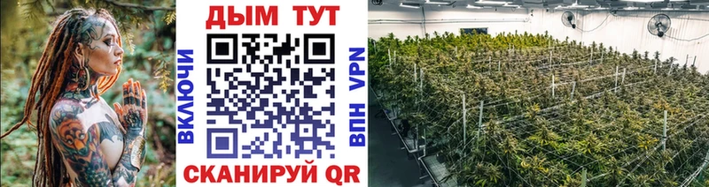 где купить наркоту  Таганрог  Конопля Ganja 